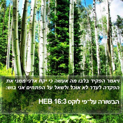 הבשורה על־פי לוקס 16:3 HEB Bible Verse Image