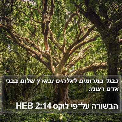 הבשורה על־פי לוקס 2:14 HEB Bible Verse Image