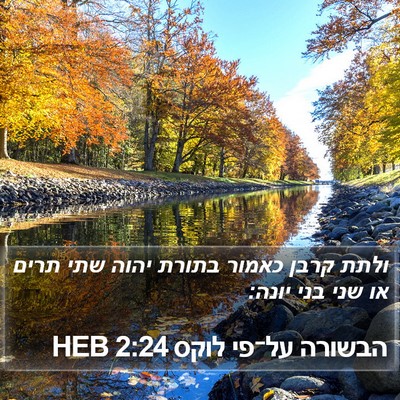 הבשורה על־פי לוקס 2:24 HEB Bible Verse Image