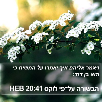 הבשורה על־פי לוקס 20:41 HEB Bible Verse Image