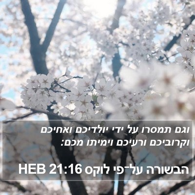 הבשורה על־פי לוקס 21:16 HEB Bible Verse Image