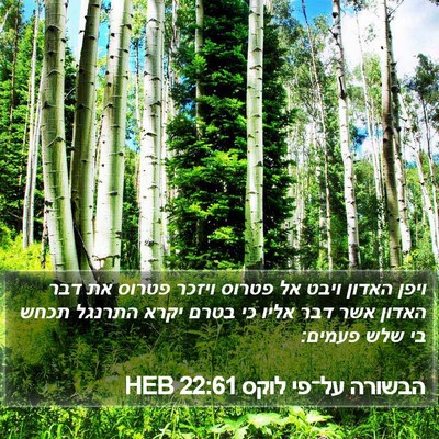 הבשורה על־פי לוקס 22:61 HEB Bible Verse Image