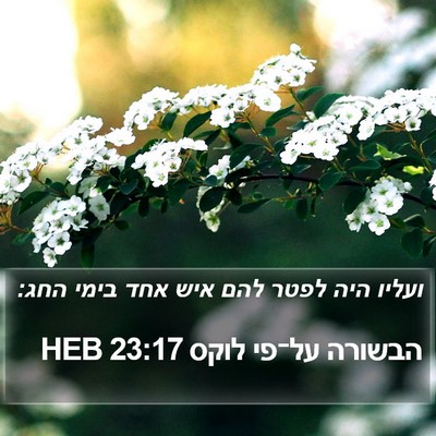 הבשורה על־פי לוקס 23:17 HEB Bible Verse Image