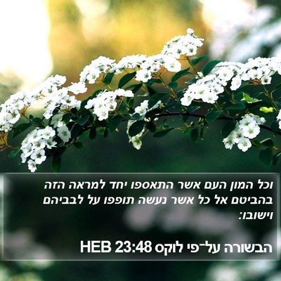 הבשורה על־פי לוקס 23:48 HEB Bible Verse Image
