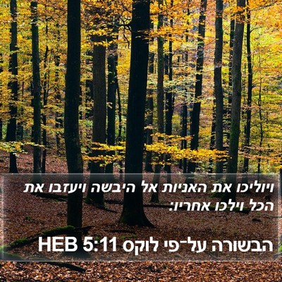 הבשורה על־פי לוקס 5:11 HEB Bible Verse Image