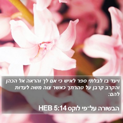הבשורה על־פי לוקס 5:14 HEB Bible Verse Image