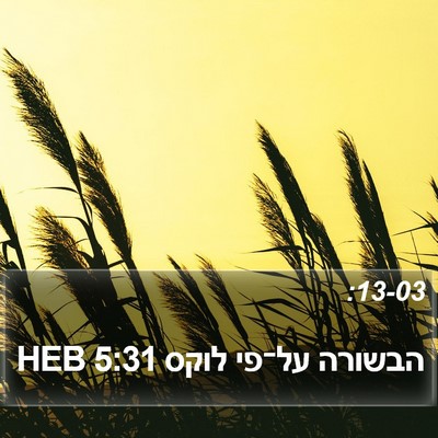 הבשורה על־פי לוקס 5:31 HEB Bible Verse Image