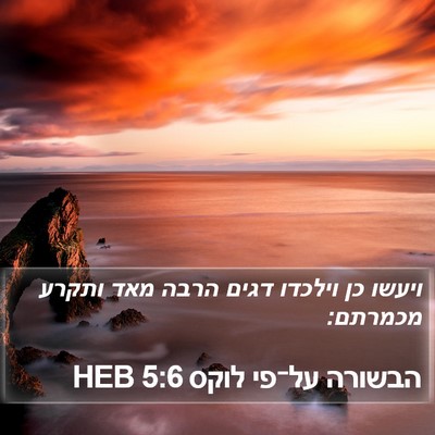 הבשורה על־פי לוקס 5:6 HEB Bible Verse Image