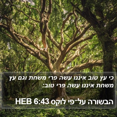 הבשורה על־פי לוקס 6:43 HEB Bible Verse Image