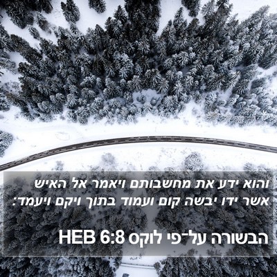 הבשורה על־פי לוקס 6:8 HEB Bible Verse Image