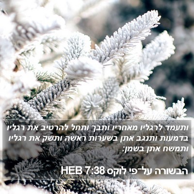 הבשורה על־פי לוקס 7:38 HEB Bible Verse Image