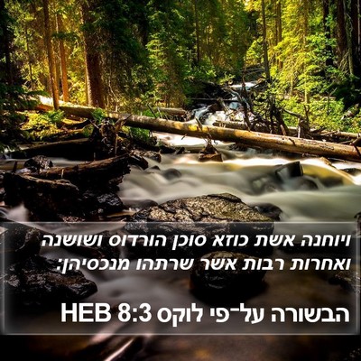 הבשורה על־פי לוקס 8:3 HEB Bible Verse Image