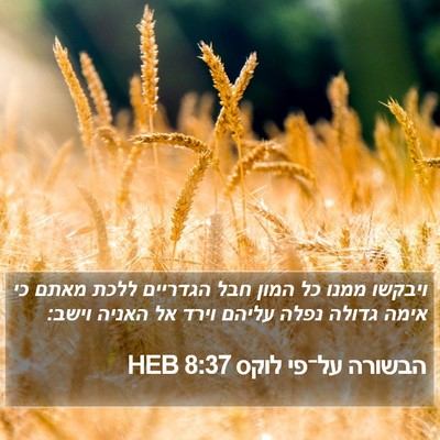הבשורה על־פי לוקס 8:37 HEB Bible Verse Image