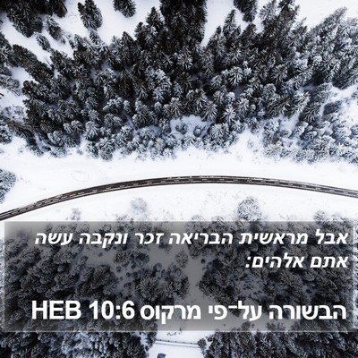 הבשורה על־פי מרקוס 10:6 HEB Bible Verse Image
