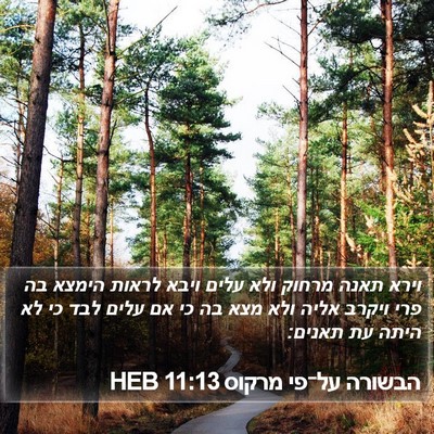 הבשורה על־פי מרקוס 11:13 HEB Bible Verse Image
