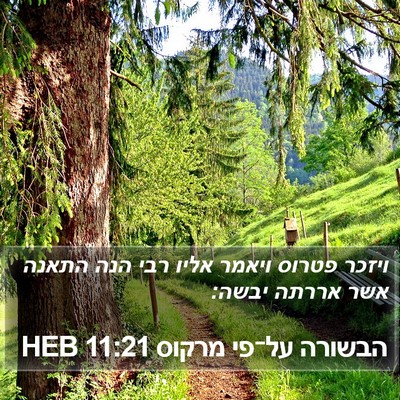 הבשורה על־פי מרקוס 11:21 HEB Bible Verse Image