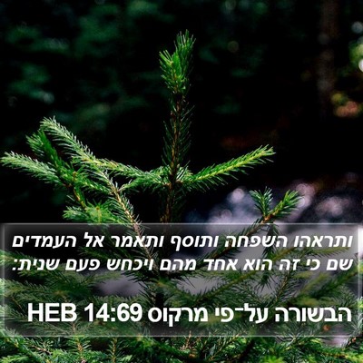 הבשורה על־פי מרקוס 14:69 HEB Bible Verse Image