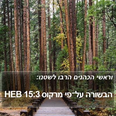 הבשורה על־פי מרקוס 15:3 HEB Bible Verse Image
