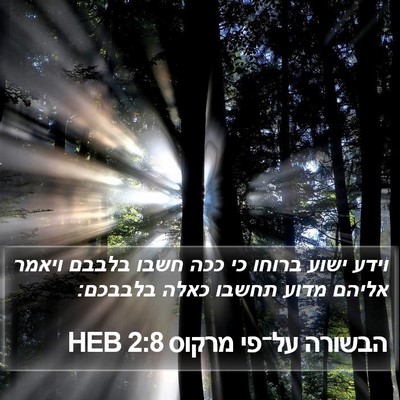 הבשורה על־פי מרקוס 2:8 HEB Bible Verse Image