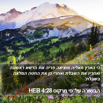 הבשורה על־פי מרקוס 4:28 HEB Bible Verse Image