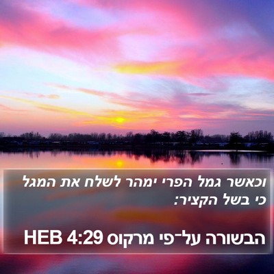 הבשורה על־פי מרקוס 4:29 HEB Bible Verse Image