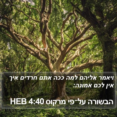הבשורה על־פי מרקוס 4:40 HEB Bible Verse Image