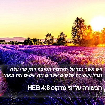 הבשורה על־פי מרקוס 4:8 HEB Bible Verse Image