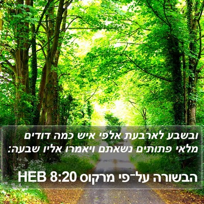 הבשורה על־פי מרקוס 8:20 HEB Bible Verse Image