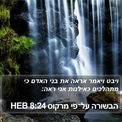 הבשורה על־פי מרקוס 8:24 HEB Bible Verse Image