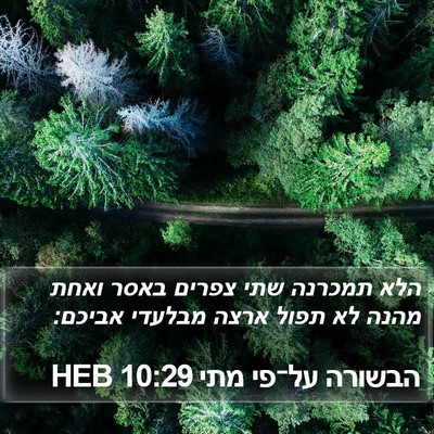 הבשורה על־פי מתי 10:29 HEB Bible Verse Image