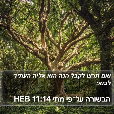 הבשורה על־פי מתי 11:14 HEB Bible Verse Image