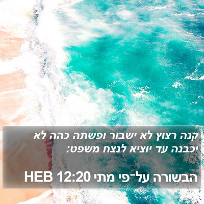 הבשורה על־פי מתי 12:20 HEB Bible Verse Image