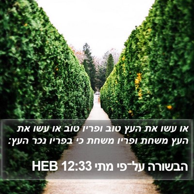 הבשורה על־פי מתי 12:33 HEB Bible Verse Image