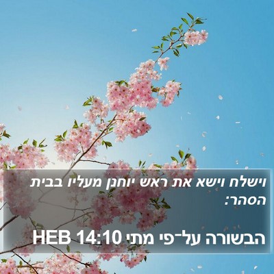 הבשורה על־פי מתי 14:10 HEB Bible Verse Image