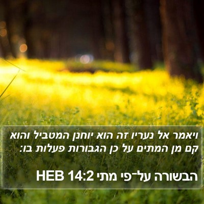 הבשורה על־פי מתי 14:2 HEB Bible Verse Image