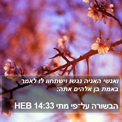 הבשורה על־פי מתי 14:33 HEB Bible Verse Image