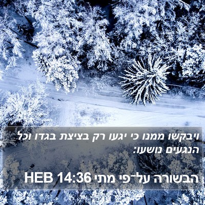 הבשורה על־פי מתי 14:36 HEB Bible Verse Image