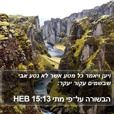 הבשורה על־פי מתי 15:13 HEB Bible Verse Image