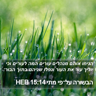 הבשורה על־פי מתי 15:14 HEB Bible Verse Image