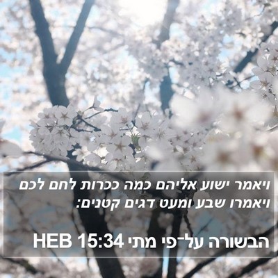 הבשורה על־פי מתי 15:34 HEB Bible Verse Image