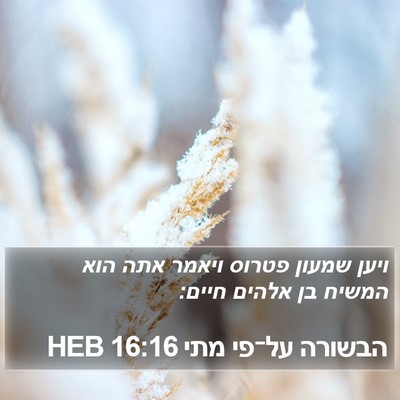 הבשורה על־פי מתי 16:16 HEB Bible Verse Image