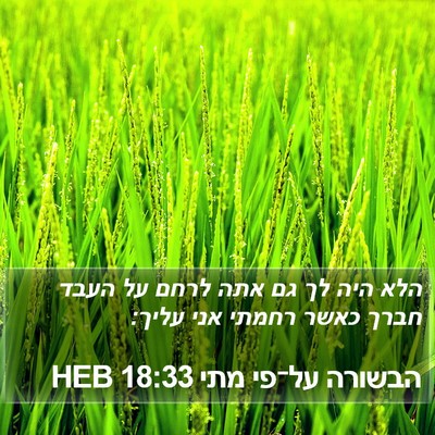 הבשורה על־פי מתי 18:33 HEB Bible Verse Image