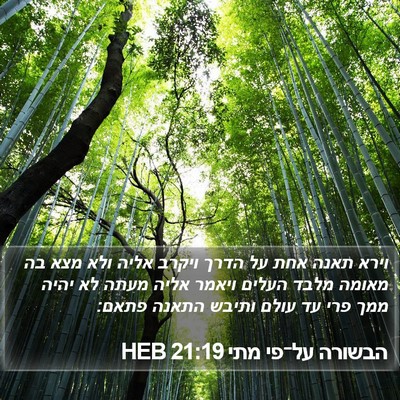 הבשורה על־פי מתי 21:19 HEB Bible Verse Image