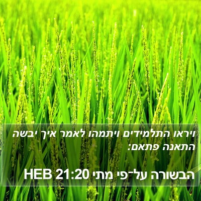 הבשורה על־פי מתי 21:20 HEB Bible Verse Image