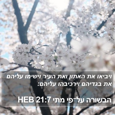 הבשורה על־פי מתי 21:7 HEB Bible Verse Image