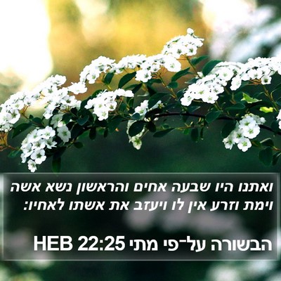 הבשורה על־פי מתי 22:25 HEB Bible Verse Image