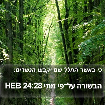 הבשורה על־פי מתי 24:28 HEB Bible Verse Image