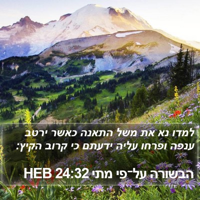הבשורה על־פי מתי 24:32 HEB Bible Verse Image