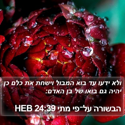 הבשורה על־פי מתי 24:39 HEB Bible Verse Image