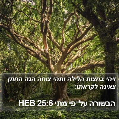 הבשורה על־פי מתי 25:6 HEB Bible Verse Image